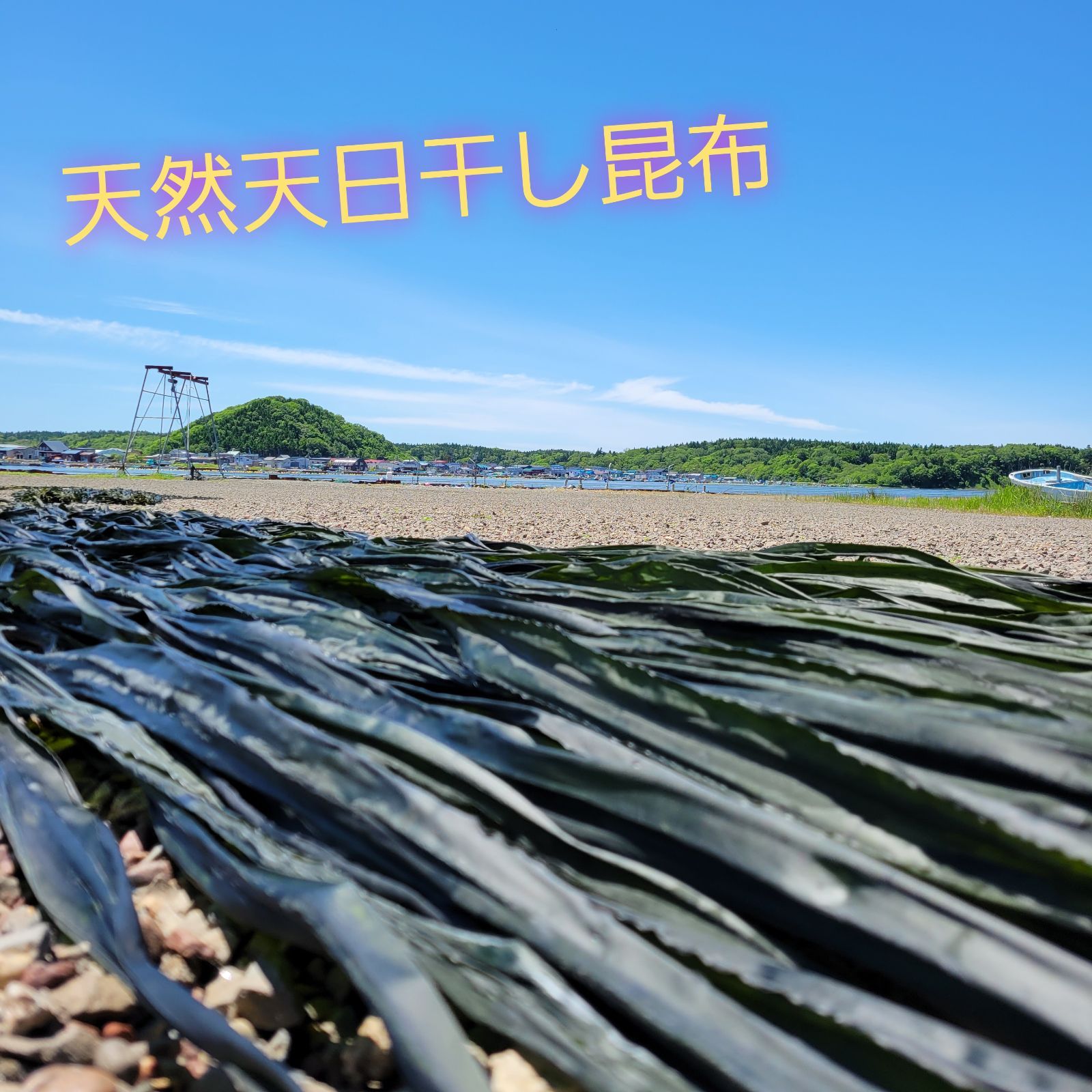 産地直送】北海道産天然⭐元１等級長昆布⭐１００g天日干し - inakaya