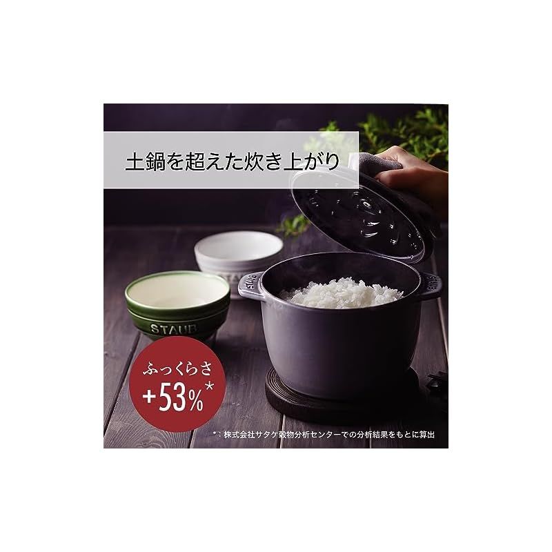 最大30日間 対象 staub ストウブ ラ ココット de GOHAN グレー M 16cm ご飯鍋 炊飯 2合 ペイント 鋳物 ホーロー鍋 IH対応 炊飯器 日本正規販売品 La Cocotte de GOHAN 40509-703 1 USTAUSTRALIA_COM_AU
