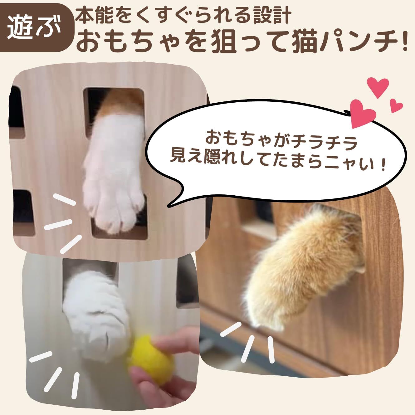 収納 多頭飼い