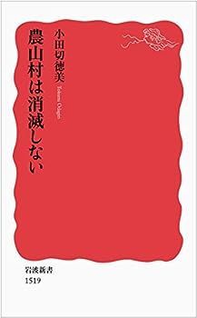 【中古】農山村は消滅しない (岩波新書)