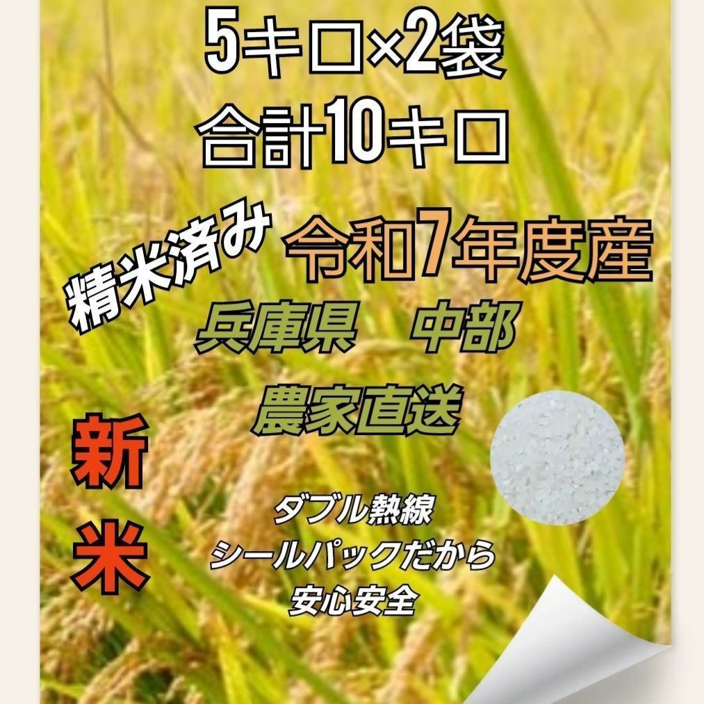 コシヒカリ 10キロ 兵庫県 精米済み 令和7年度産 農家直送 単一原料米