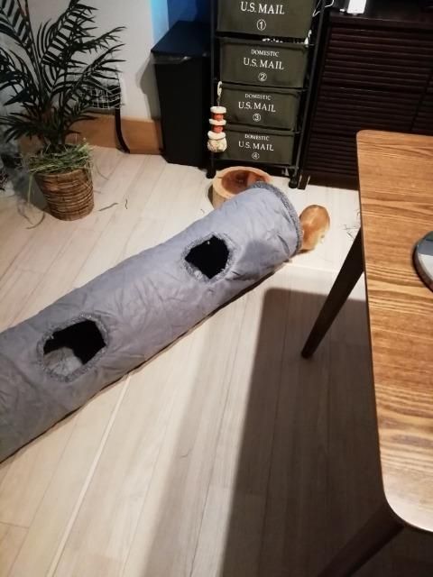 遊び おもちゃ