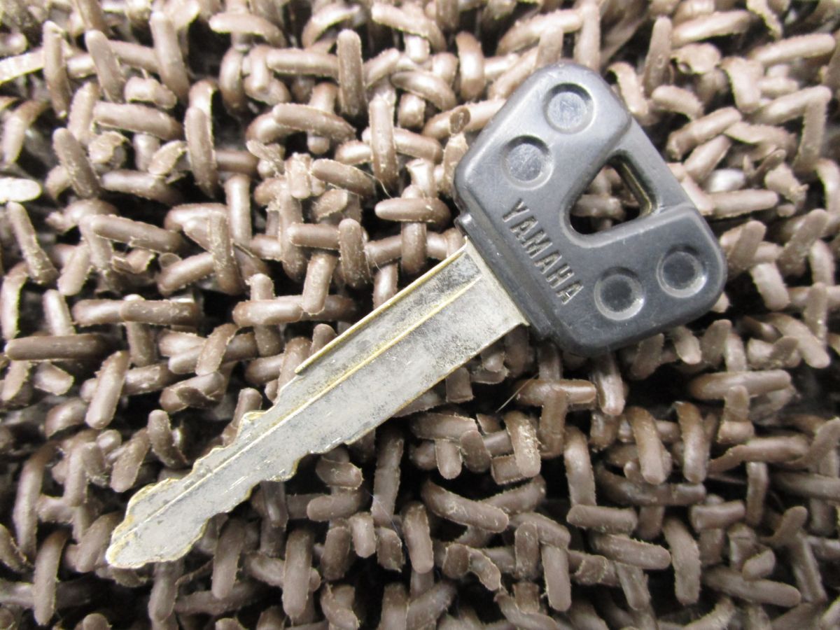 トップブリッジ