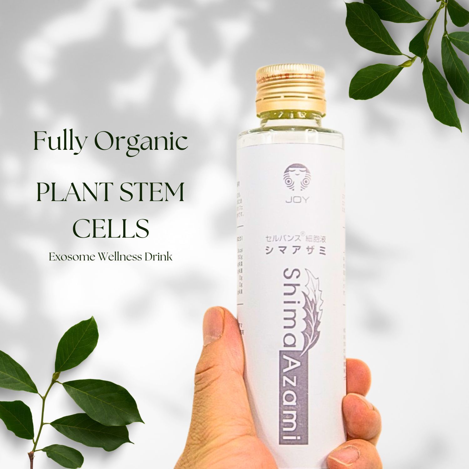 生エクソソーム