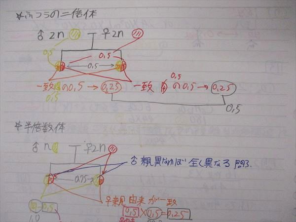 UE04-057 代ゼミ 代々木ゼミナール 生物図解・計算・遺伝・描図 中嶋寛