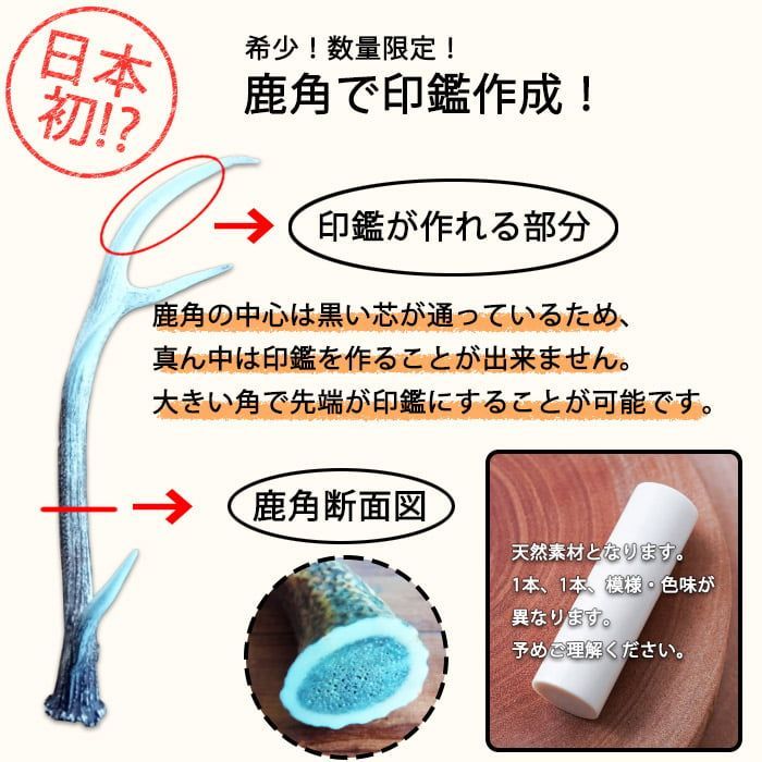 姓or名