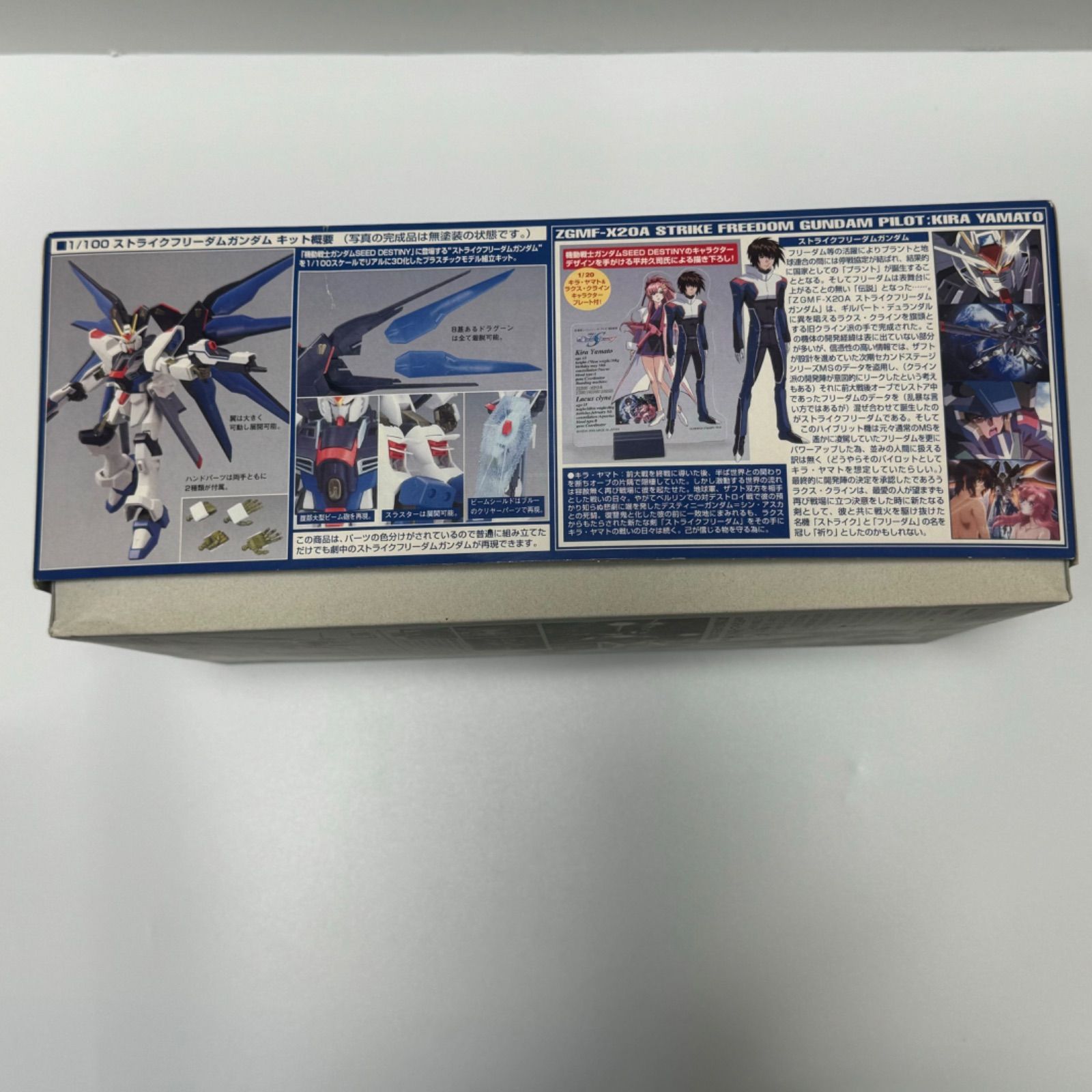 1/100 ZGMF-X20A ストライクフリーダムガンダム 機動戦士ガンダム