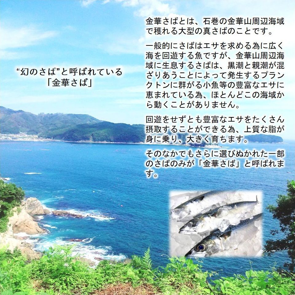 さば 宮城県三陸産 金華しめさば2枚セット ブランド鯖 こだわり製法 特大さば