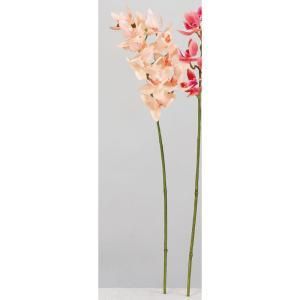 ア*カ様 ⭐︎アスカ⭐︎ Amazon | グッドスマイルカンパニー(GOOD SMILE COMPANY