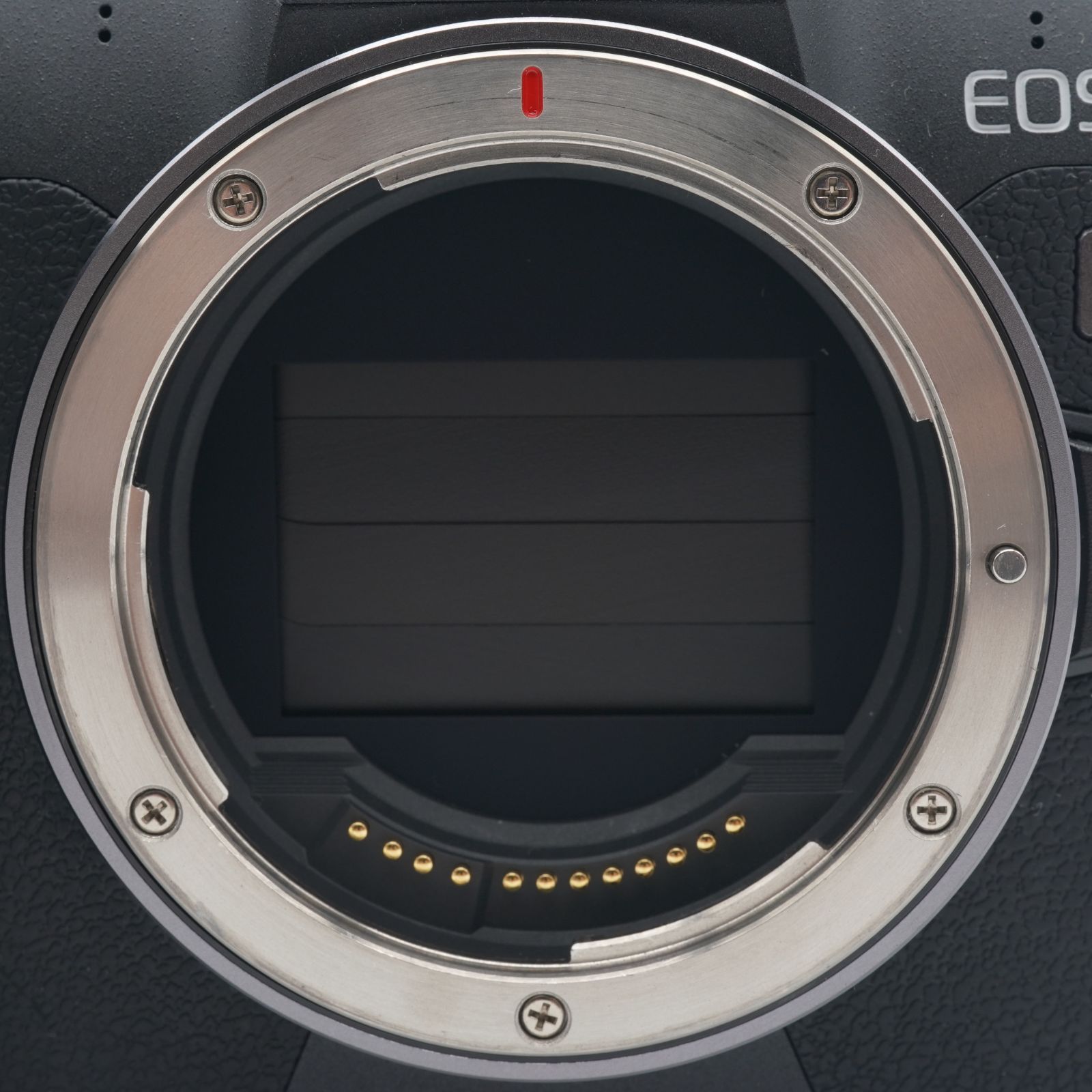 ほぼ新品 キヤノン EOS R ボディ シャッター回数4000回以下！ - メルカリ