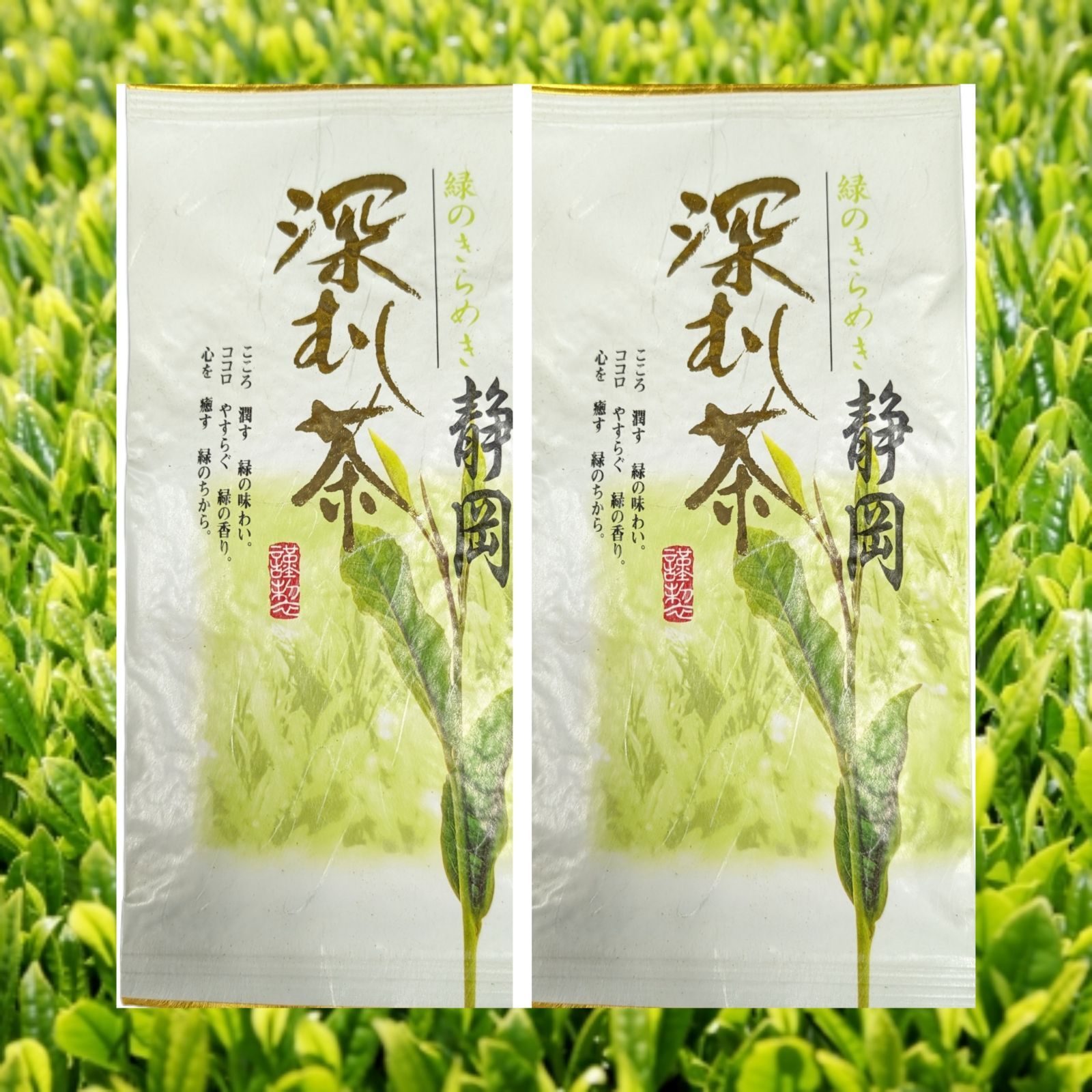 【新茶❗】静岡名茶【深蒸し茶】１００ｇ✕２個セット❗佐野静雄商店【静岡県島田市産🔥】