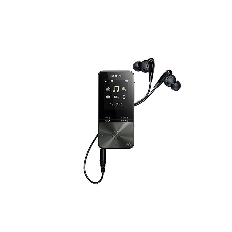 ソニー(SONY) ウォークマン Sシリーズ 4GB NW-S313 : MP3プレーヤー