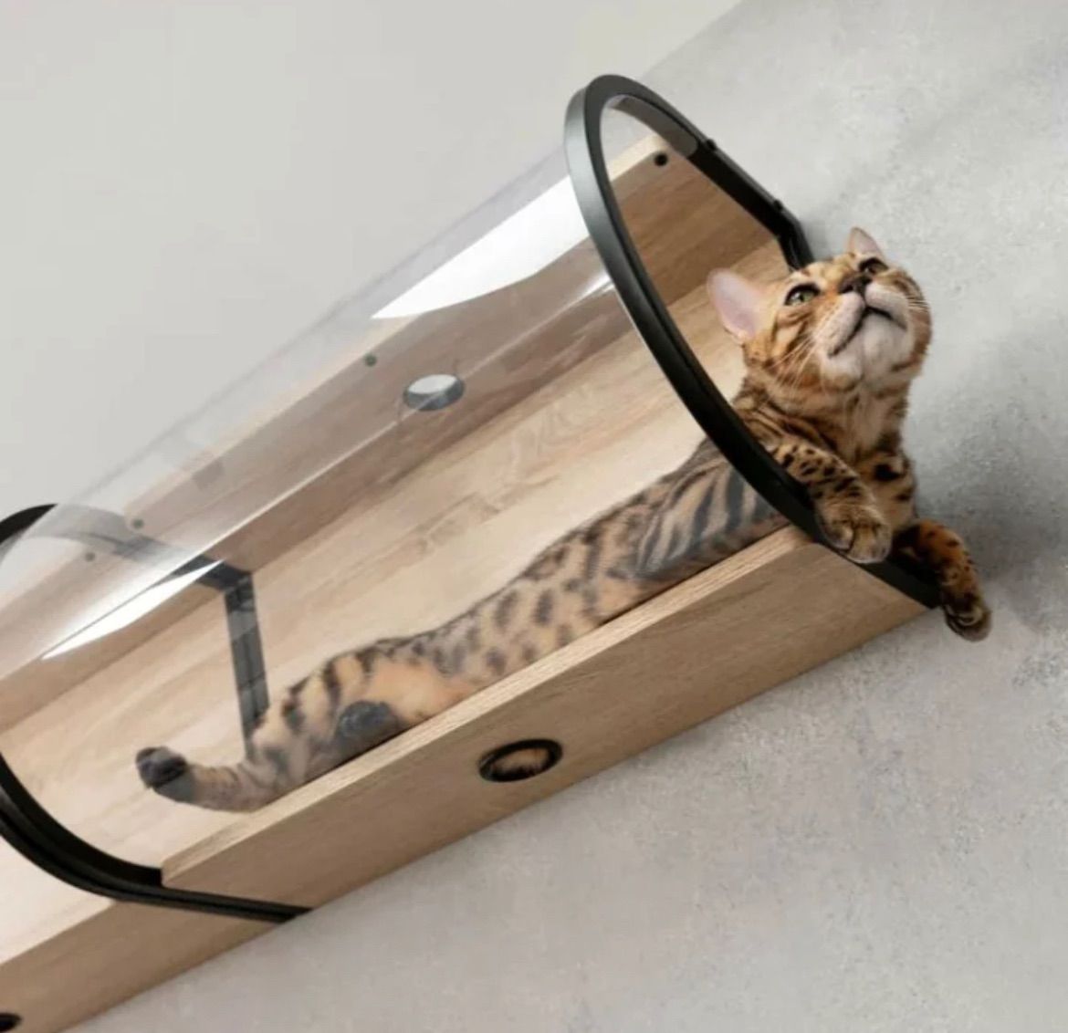 MYZOO マイズー TUNNEL トンネル キャットステップ おしゃれ キャットウォーク かわいい 壁 透明 キャットウォーク 肉球も見える 壁取り付け 多用途ステップ キャットインテリア
