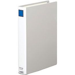 5営業日で発送 KING JIM KJ-2473GXA-GYX10