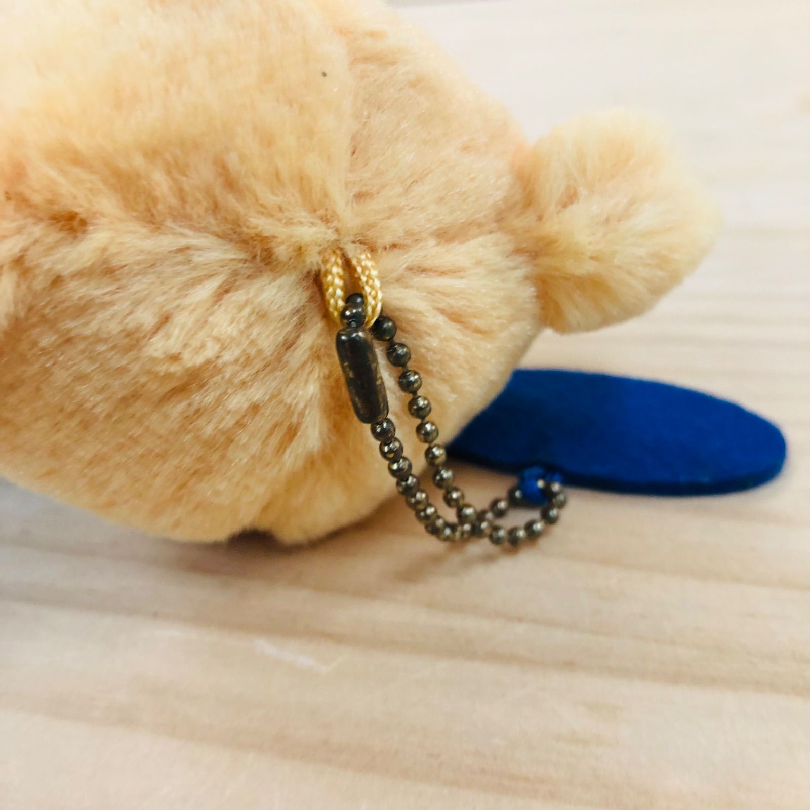 2U41468 タグ付き 深山コスチュームベア 99.9 刑事専門弁護士 松本潤