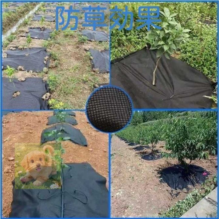 期間限定割引40%！ 1.0mx100m 園芸用 防草シート 除草シート 防草シート 雑草シート 固定 紫外線劣化防止 不織布 厚手 園芸用 工事用 高透水 大特価！