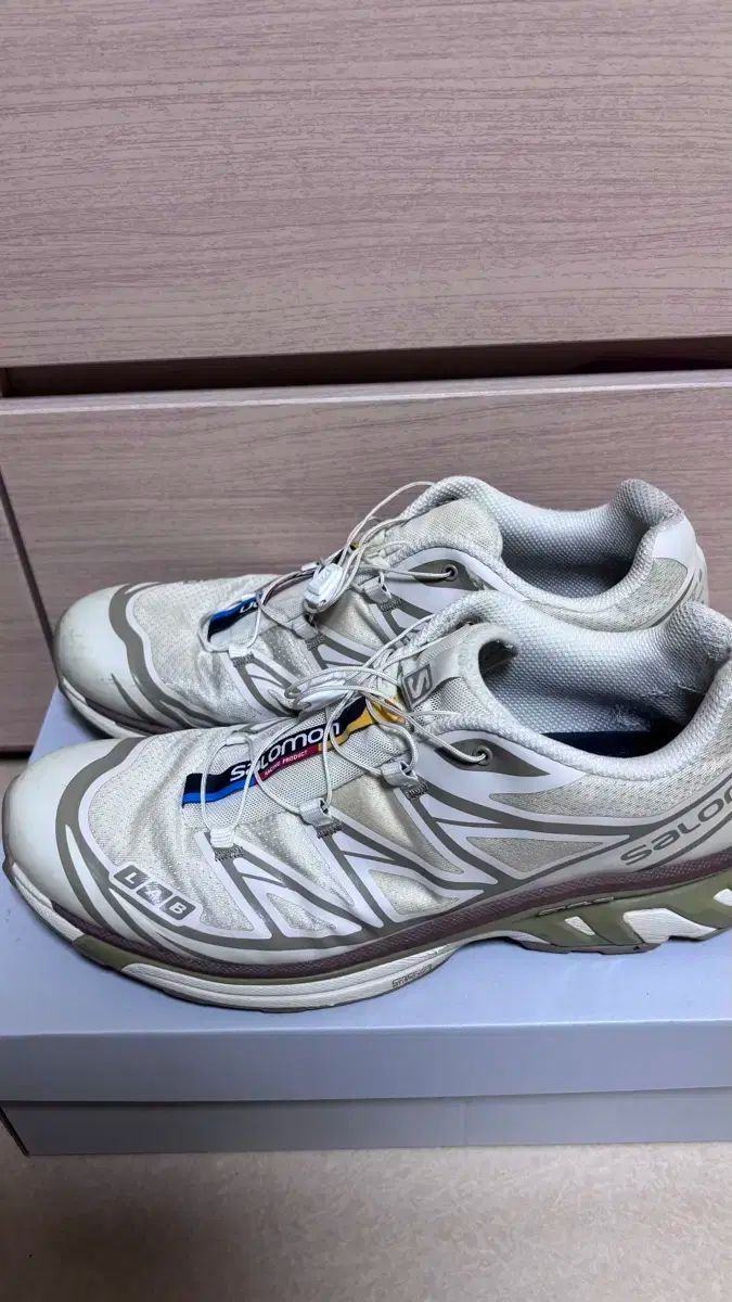 SALOMON サロモン xt ー 6 タートルダブ 290