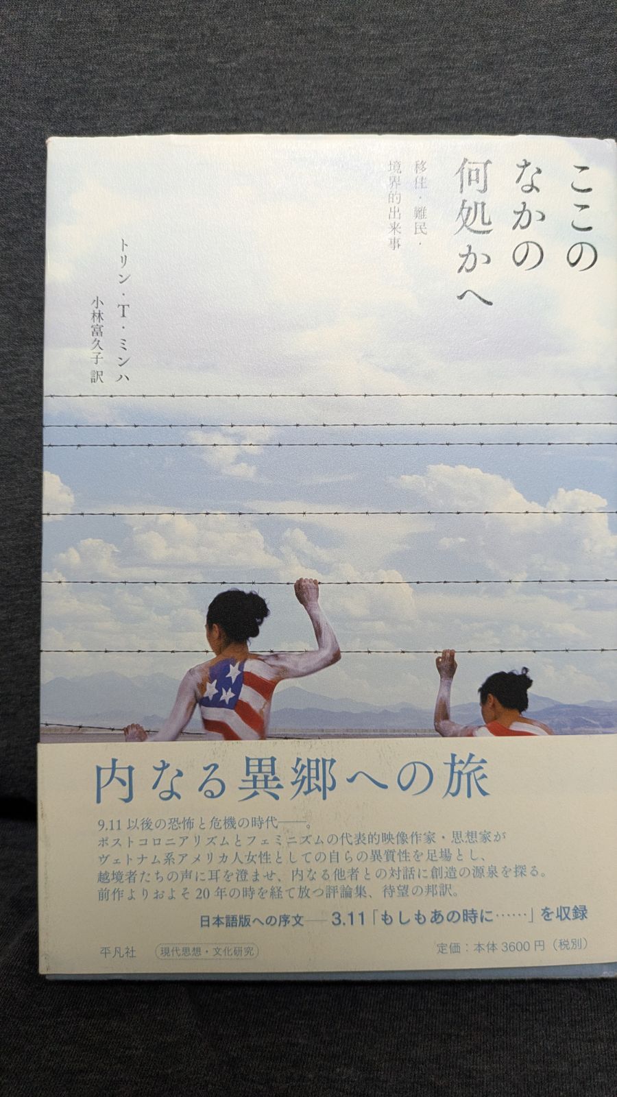 ここのなかの何処かへ: 移住・難民・境界的出来事　(トリン・T・ミンハ/小林富久子訳/平凡社)