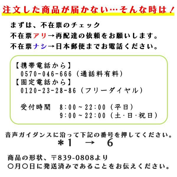 【２個セット】耳かき 匠の技 耳かき 竹 天然煤竹耳かき【G-2153】GREEN　BELL　匠の技　匠　すすたけ　最高級　天然煤竹　耳かき（2本組み）最高級煤竹　極細　定形郵便　送料無料