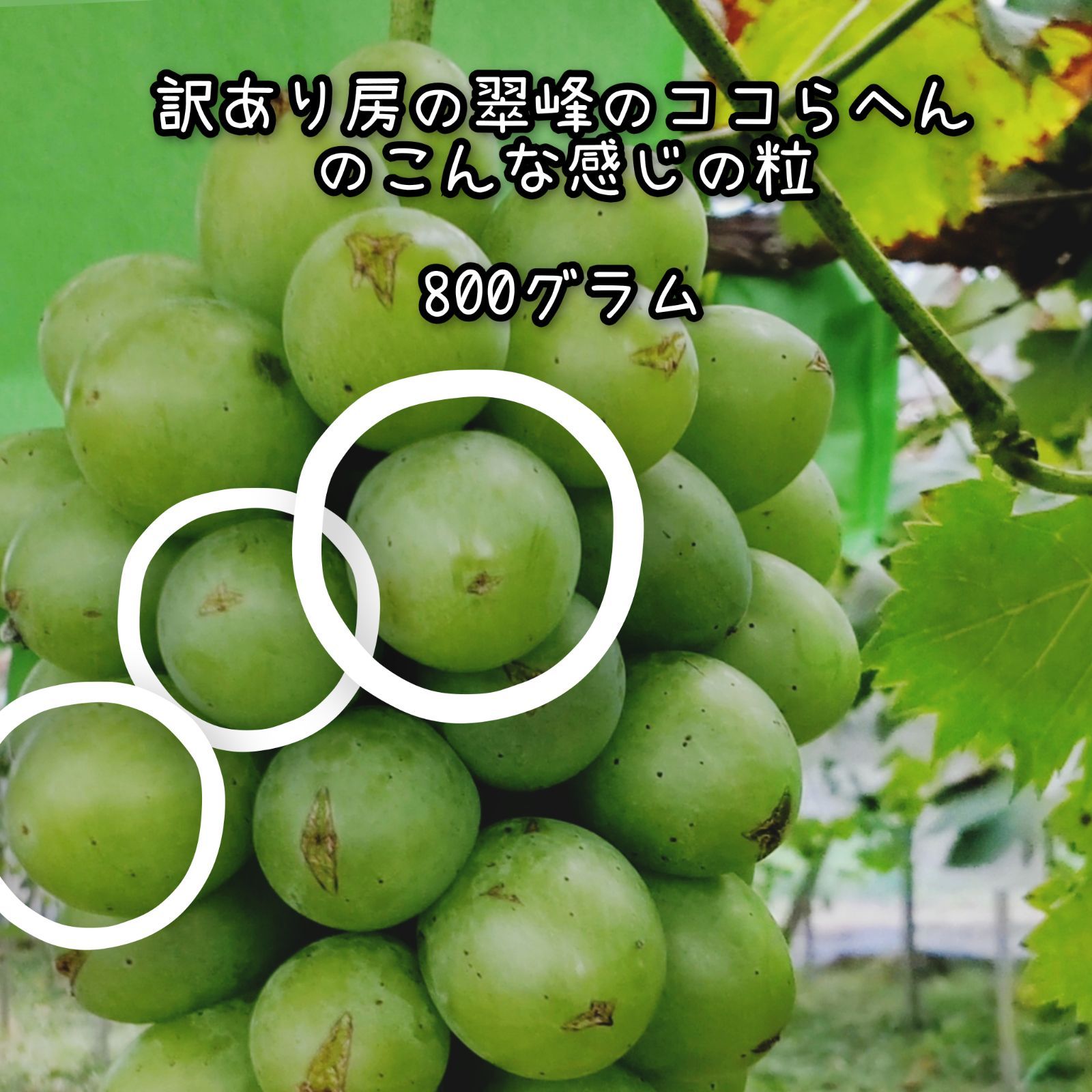 完売御礼 ありがとうございました(⁠ ⁠ꈍ⁠ᴗ⁠ꈍ⁠) 岡山県産 訳あり 翠峰