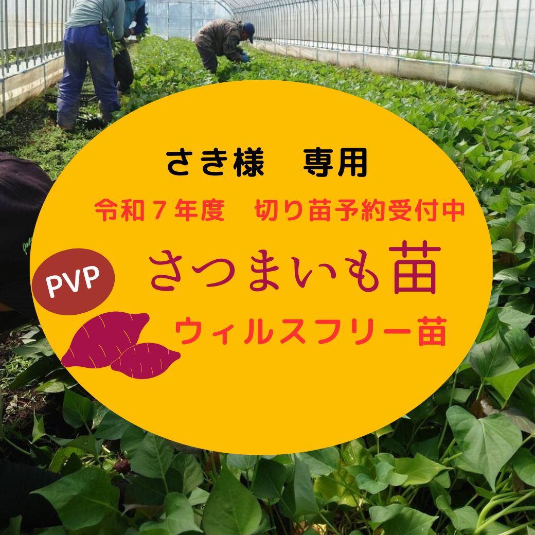 さき様 あまはずき40本 ゆきこまち20本 べにひなた20本 安納芋こがね20本