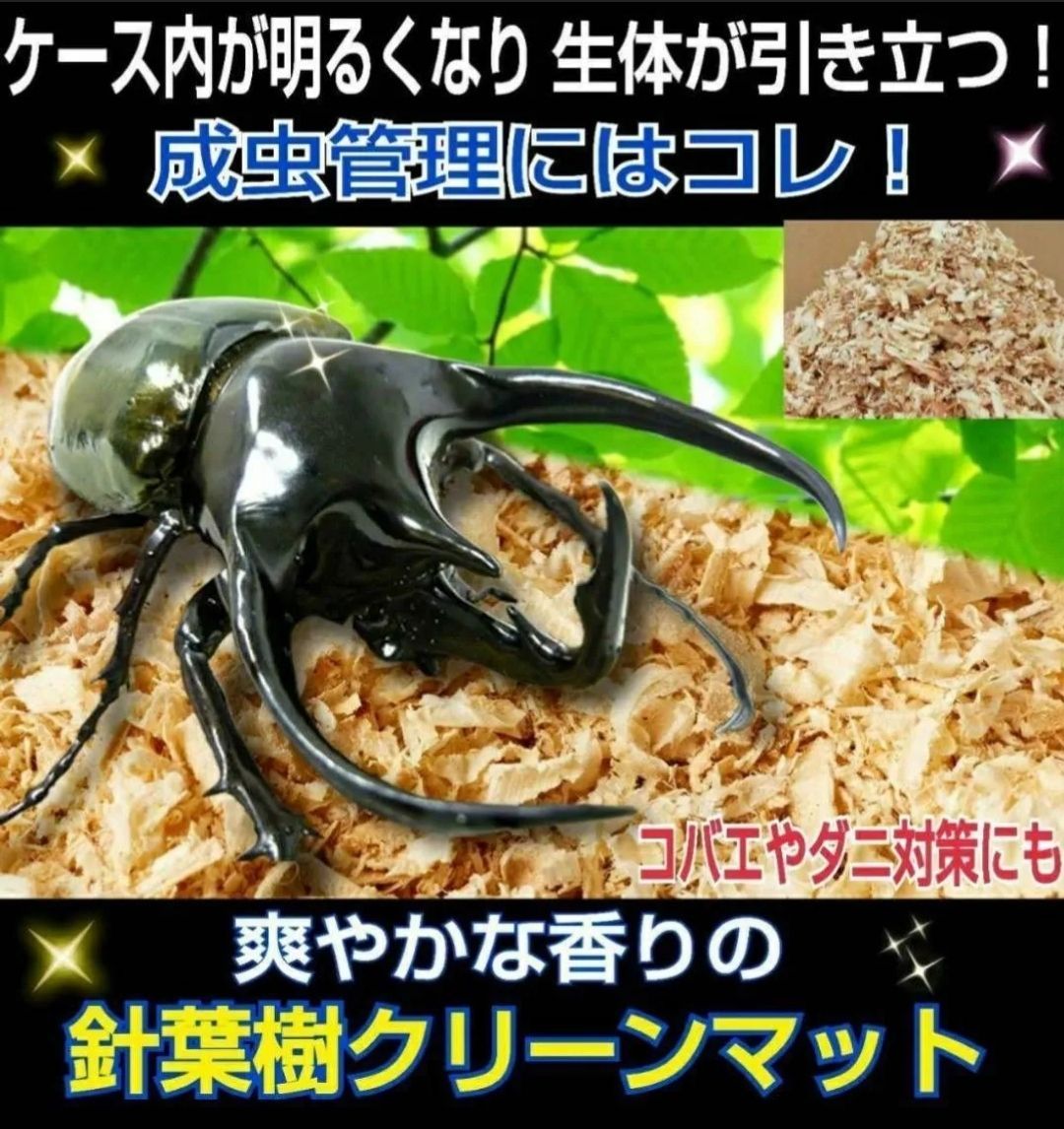 カブトムシ・クワガタの成虫飼育はコレ１番です！爽やかな香りの針葉樹クリーンマット【たっぷり60リットル・6袋セット】ケース内が明るくなり生体がカッコ良く見える！ダニ防止にも！保存にも便利なチャック付き袋  ☆無農薬国産ヒノキ使用 - メルカリ