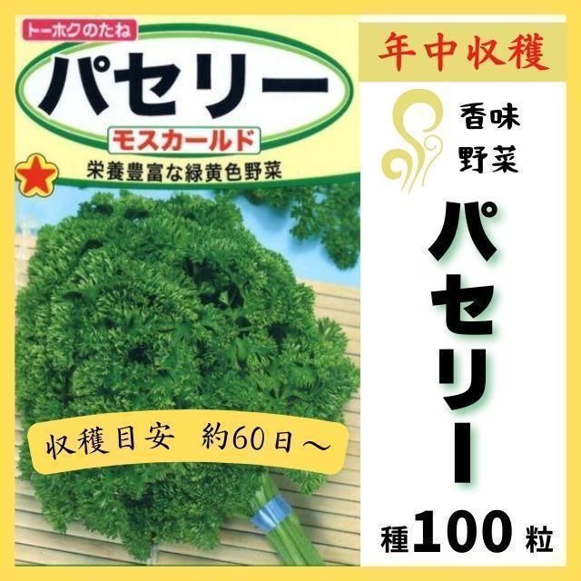 ハーブの種 4種類です 家庭菜園 イタリアンパセリ - ハーブ