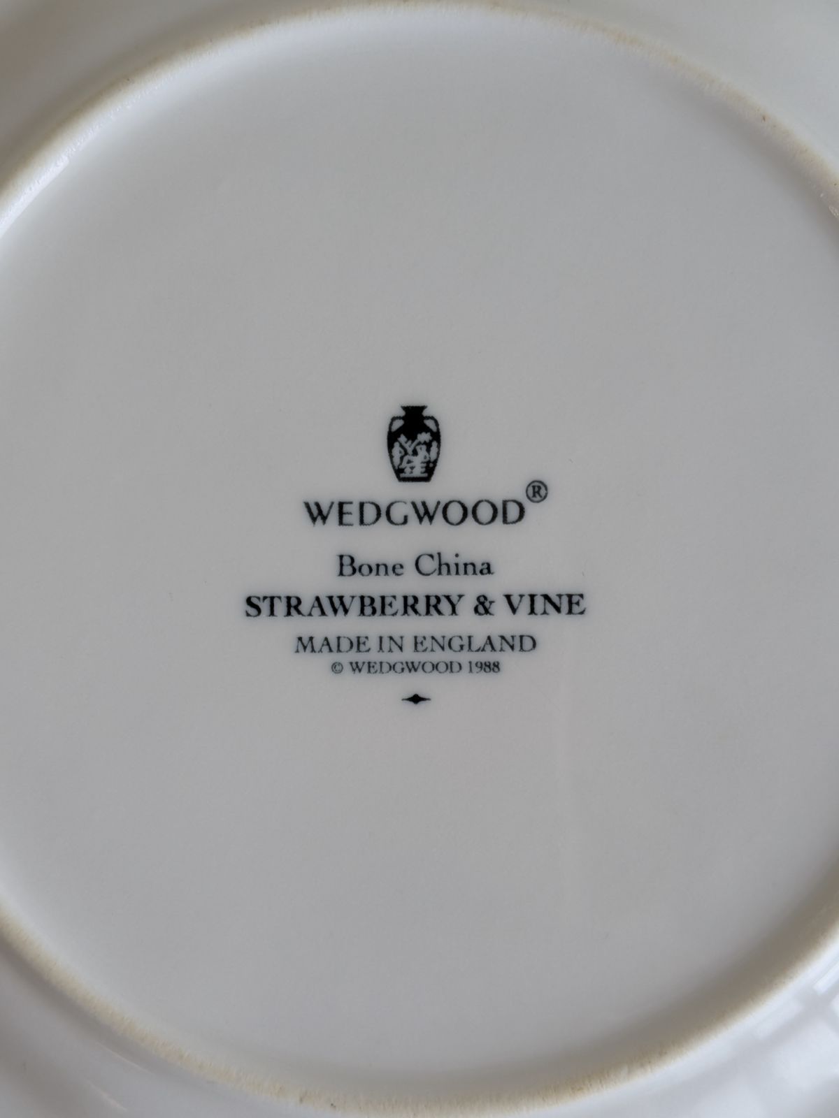 カップソーサー プレート