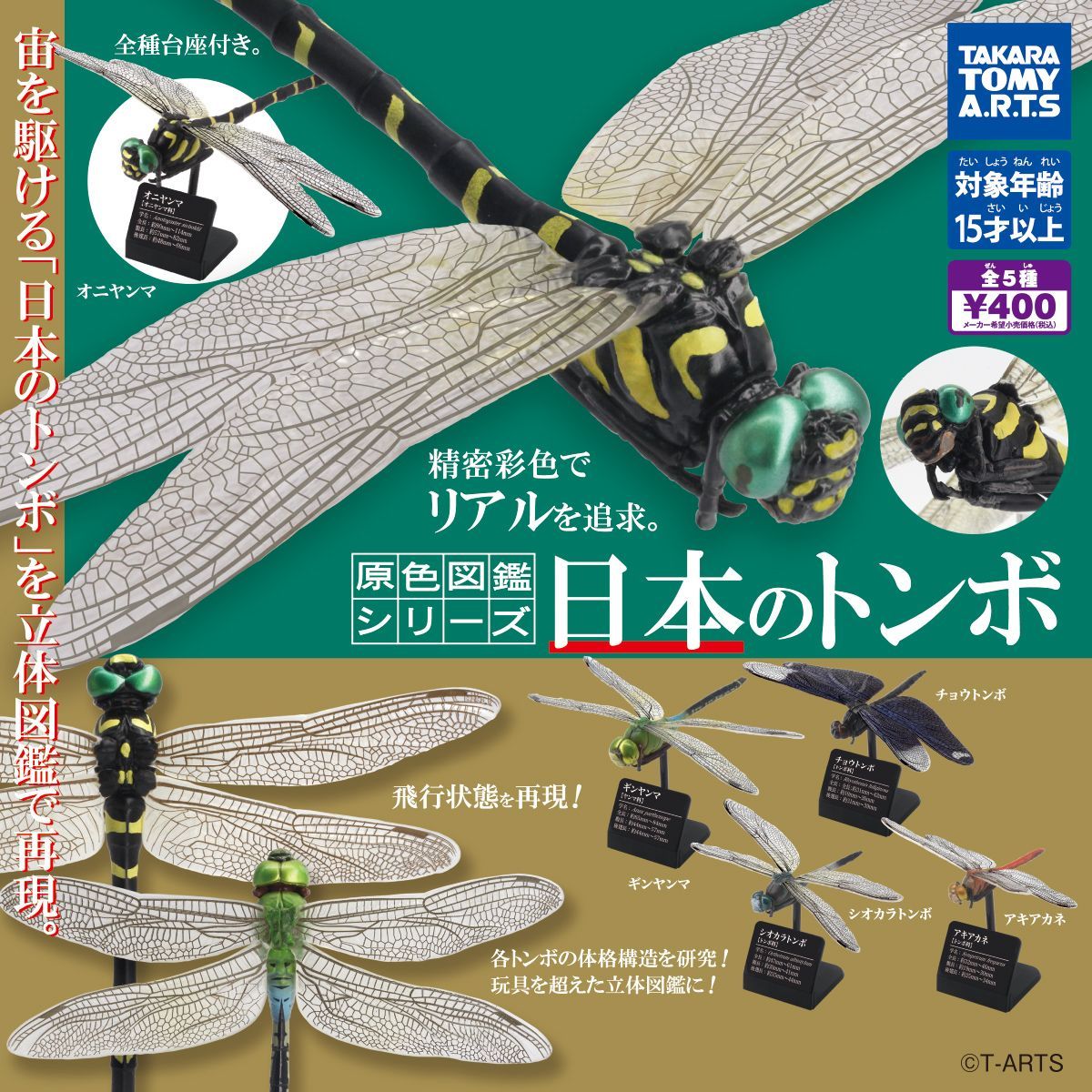 TAKARA TOMY A. R.T.S 原色図鑑シリーズ 日本のトンボ
