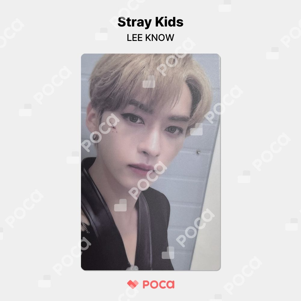 stray kids スキズ リノ noeasy 中国 ヨントン 特典 トレカ StrayKids スキズ リノ noeasy 中国ヨントン トレカ