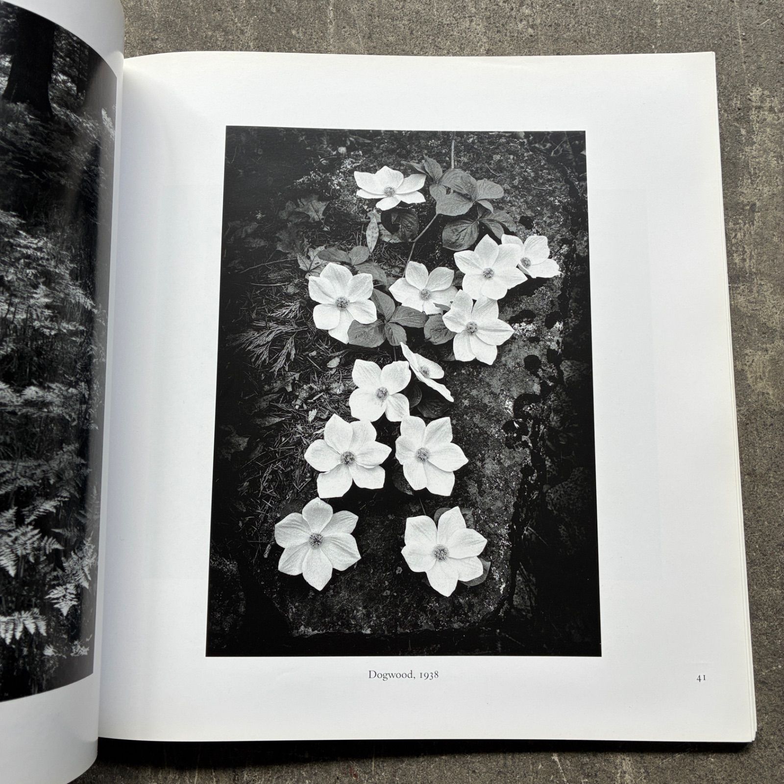 ✨【非売品】三浦春馬さん 掲載PHOTO BOOK 2013年 レスリーキーさん