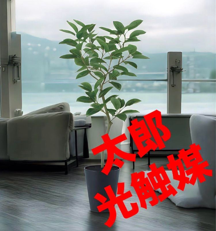 光触媒 人工観葉植物 ウォールグリーン フェイクグリーン デコラゴム