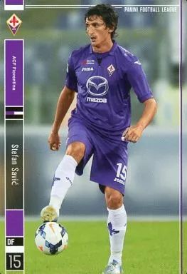 新品】パニーニ フットボールリーグ PFL07 029/154[R]：ステファン