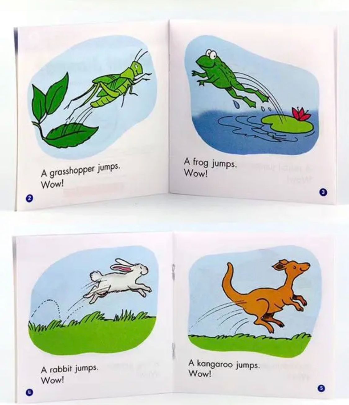 sight word