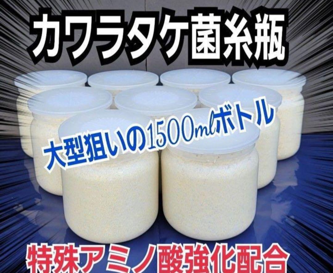 極上！カワラタケ菌糸瓶【5本】特殊アミノ酸強化配合！タランドゥス