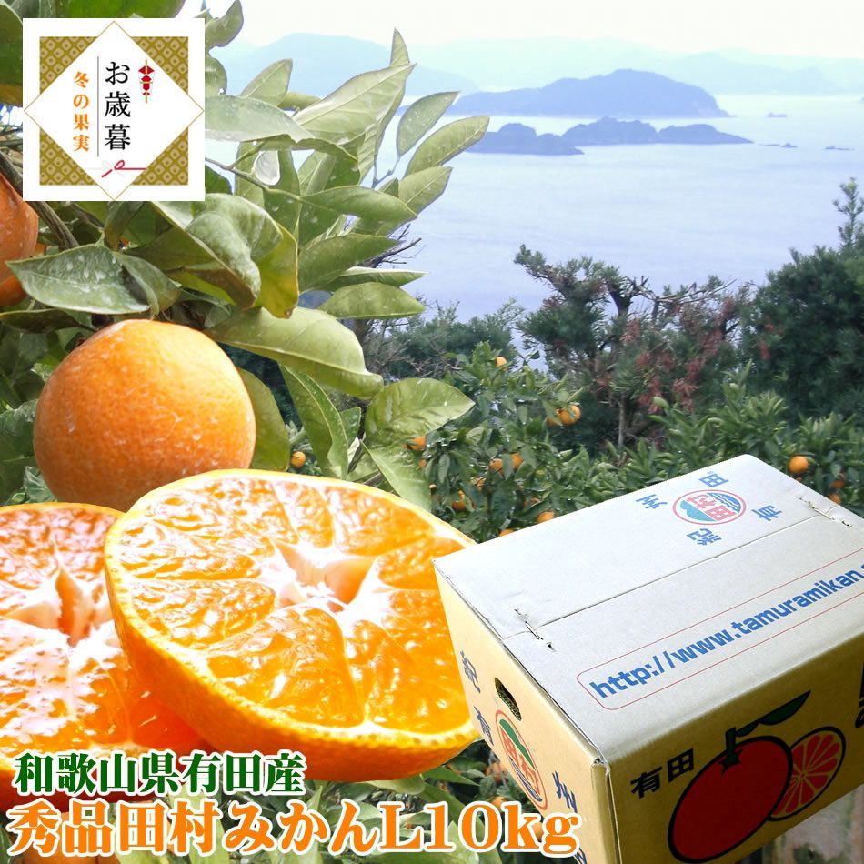 有田みかん 有田ミカン 有田蜜柑 みかん 田村みかん お歳暮に じゅわじゅわじゅわ〜っとあま〜い 紀州有田産 上 秀品田村みかんＬ10kg 簡易包装 11月下旬より順次発送開始
