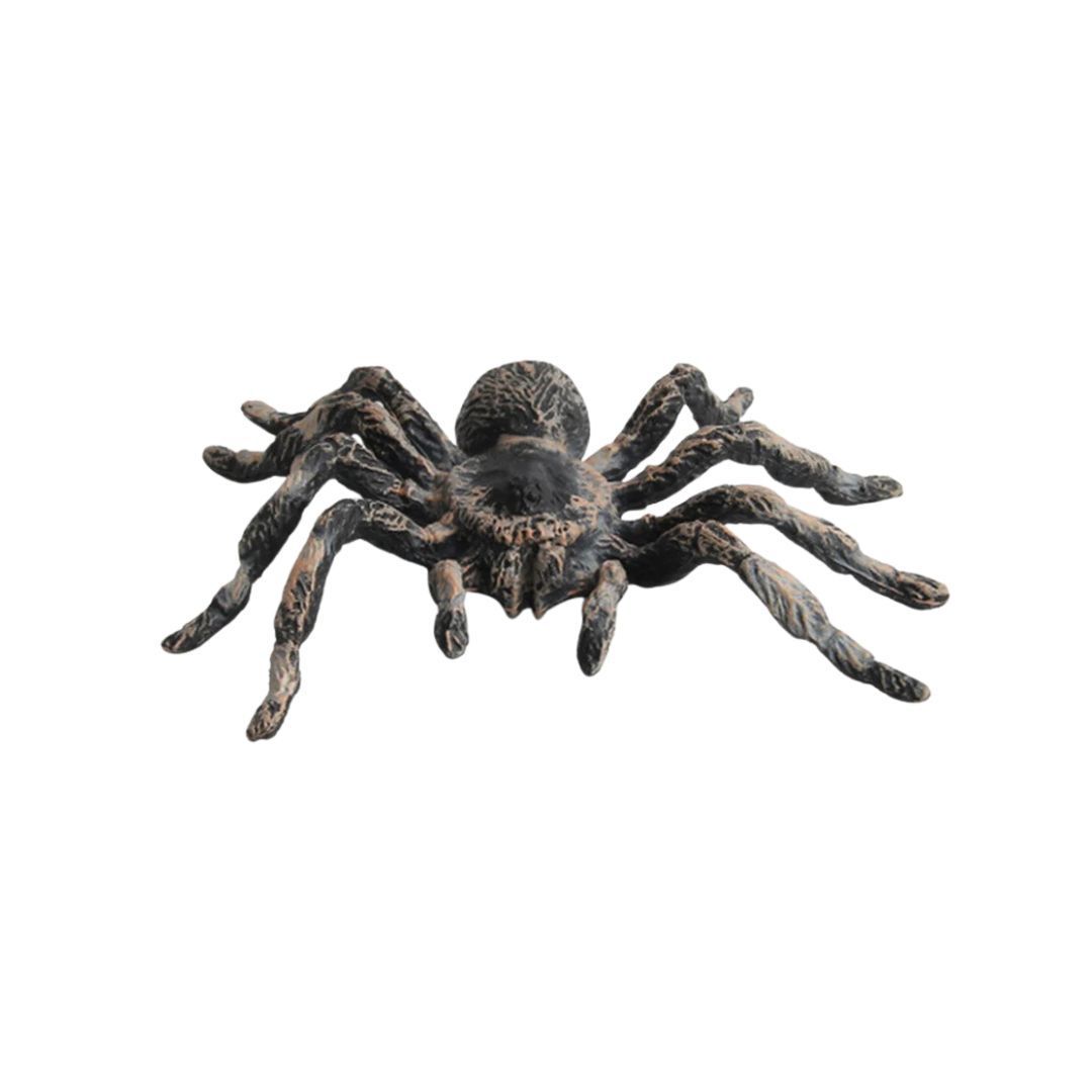 ハロウィン装飾 リアルスパイダー 置物 蜘蛛 1個 玩具 クモ