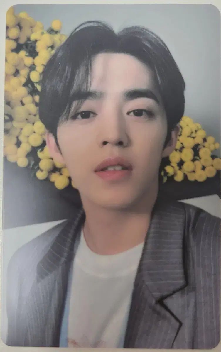 Your Choice ラキドロ エスクプス SEVENTEEN(セブンティーン・セブチ) エスクプス(S.COUPS
