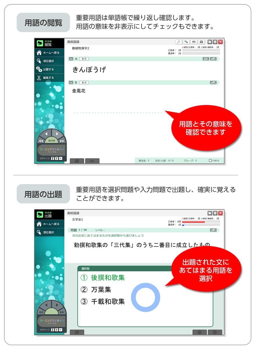 ラーニングスケルトンパーソナル 高校国語1～3年