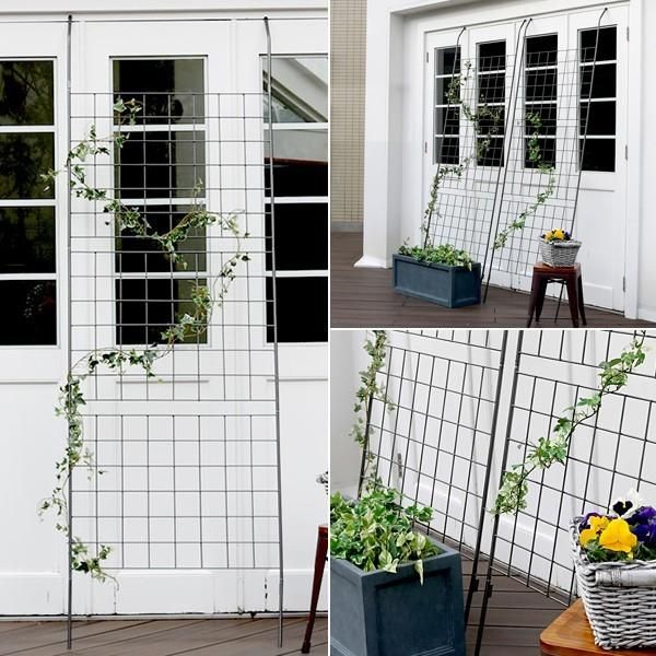 アベンジャーズ 全作 セット MovieNEX DVDのみ