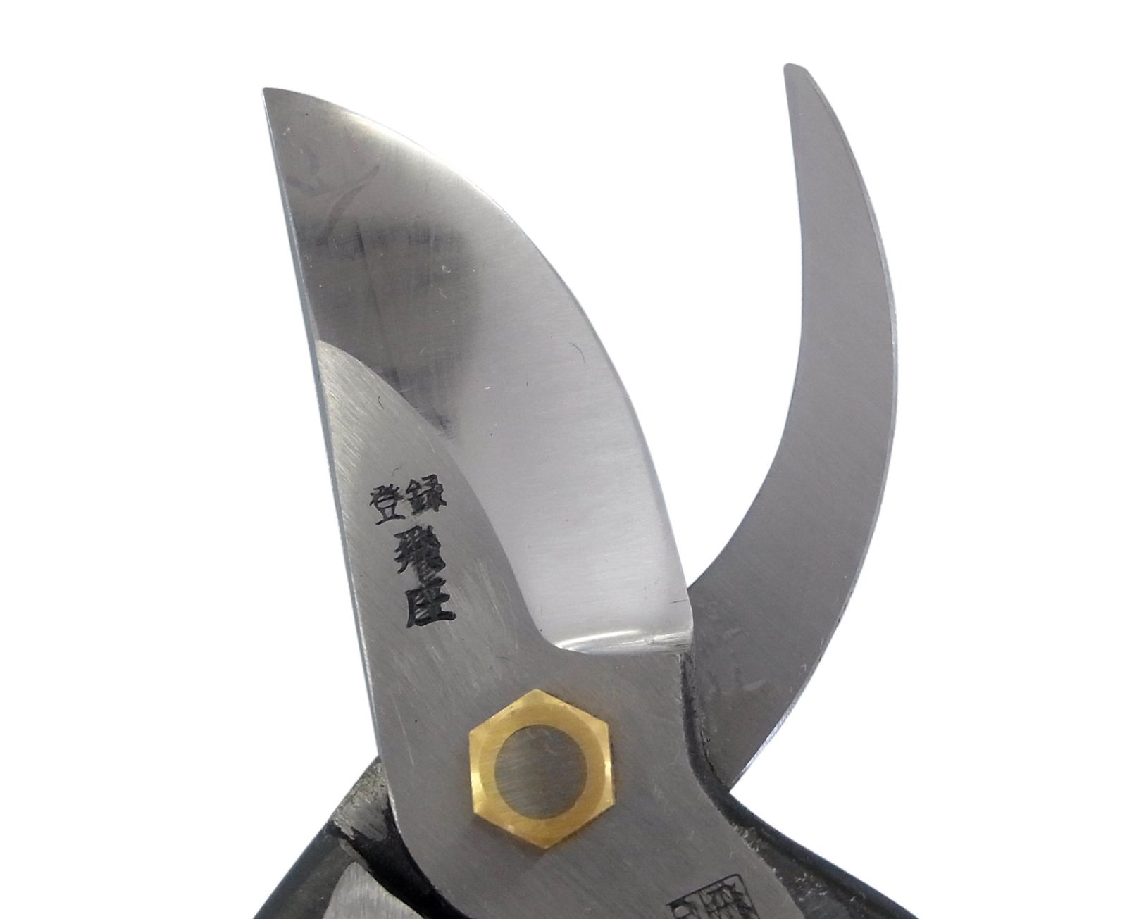 数量 飛庄 剪定鋏 SR-1型 200ミリ ビニール柄