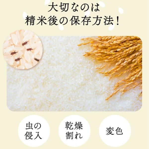 お米 冷蔵庫