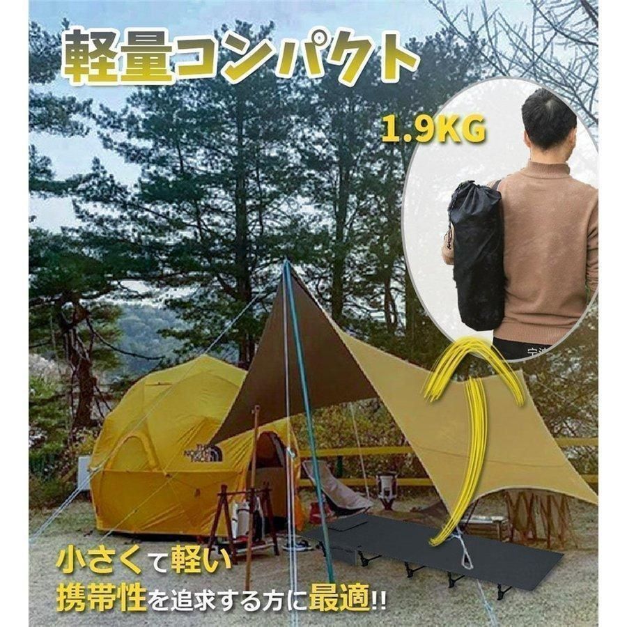 超軽量 収納ケース付き