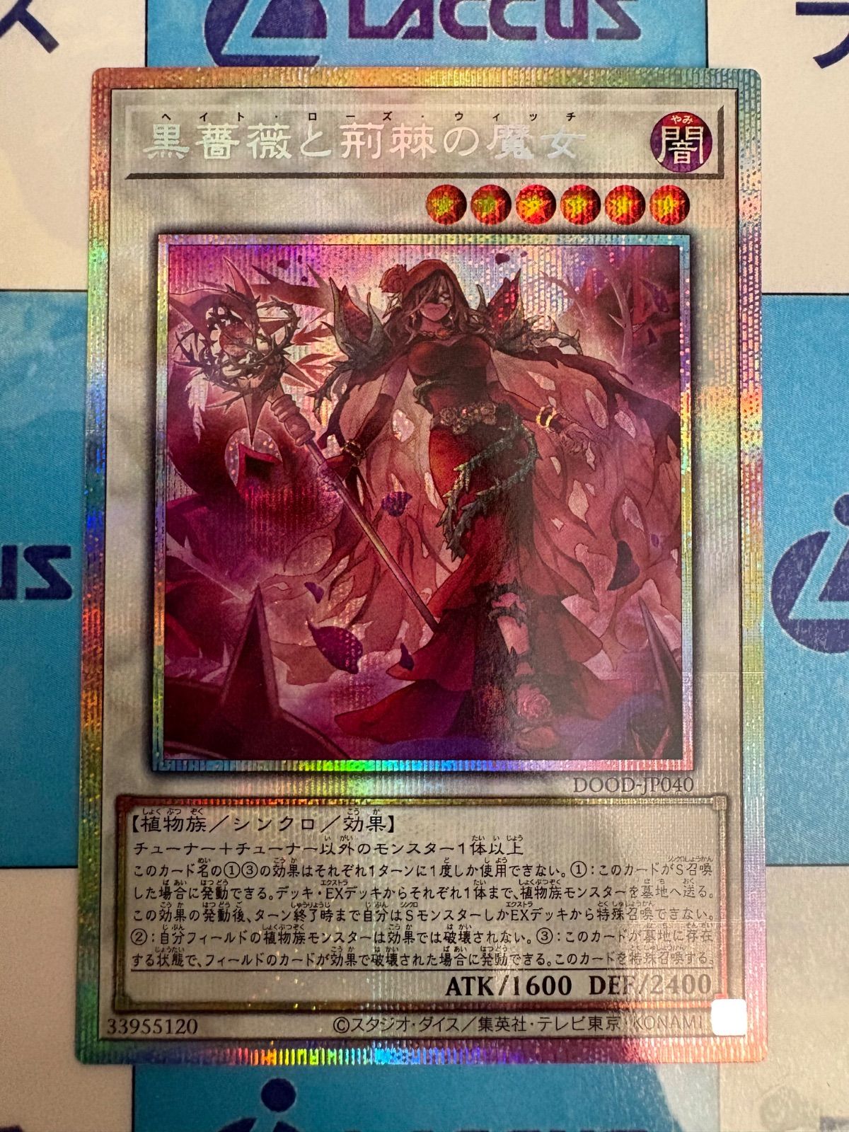 遊戯王プリシク 遊戯王 調律 クオシク 25th 25シク クォーターセンチュリー