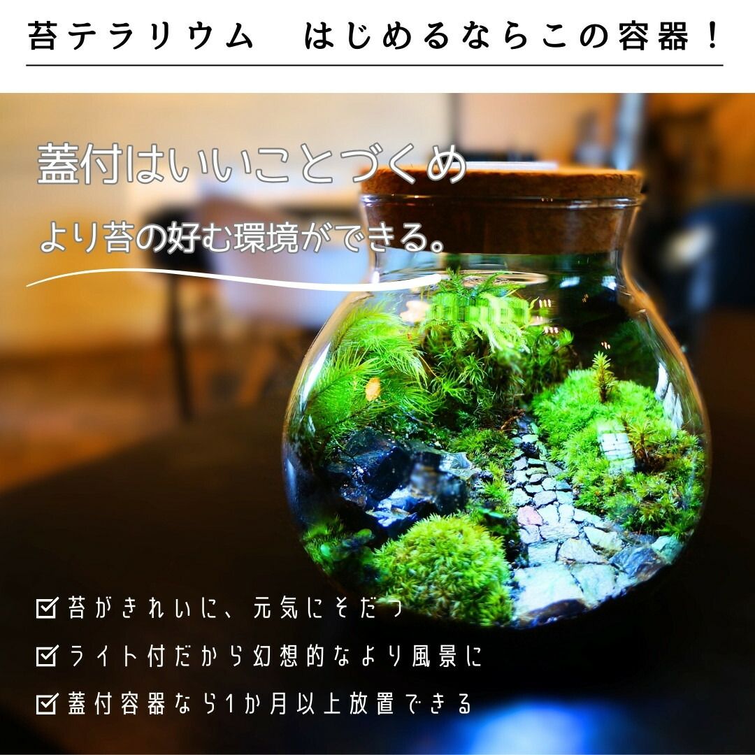 テラリウム
