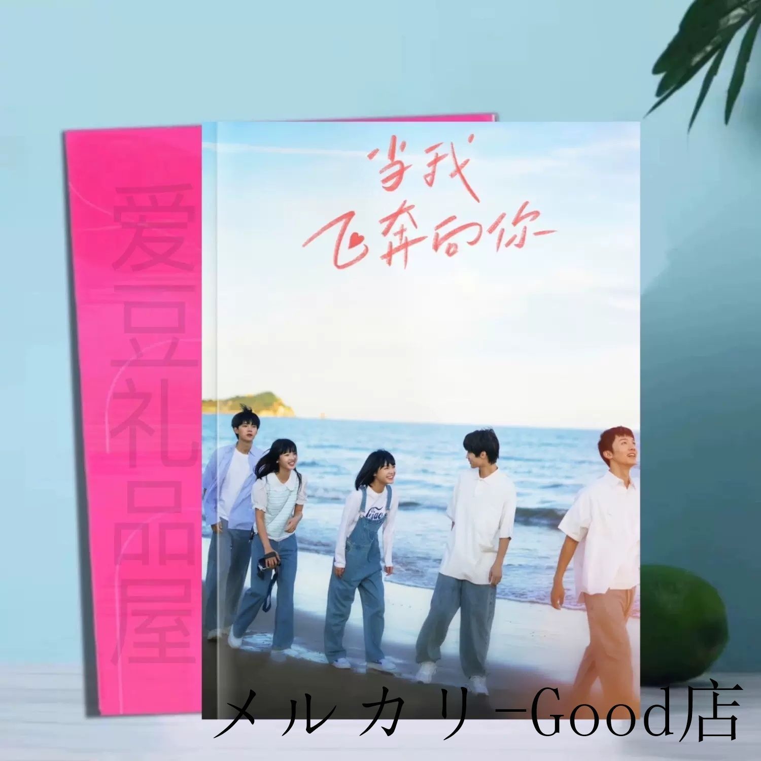 中国ドラマ 「あなたの元へ飛んで行く時 」When I Fly Towards You 写真集