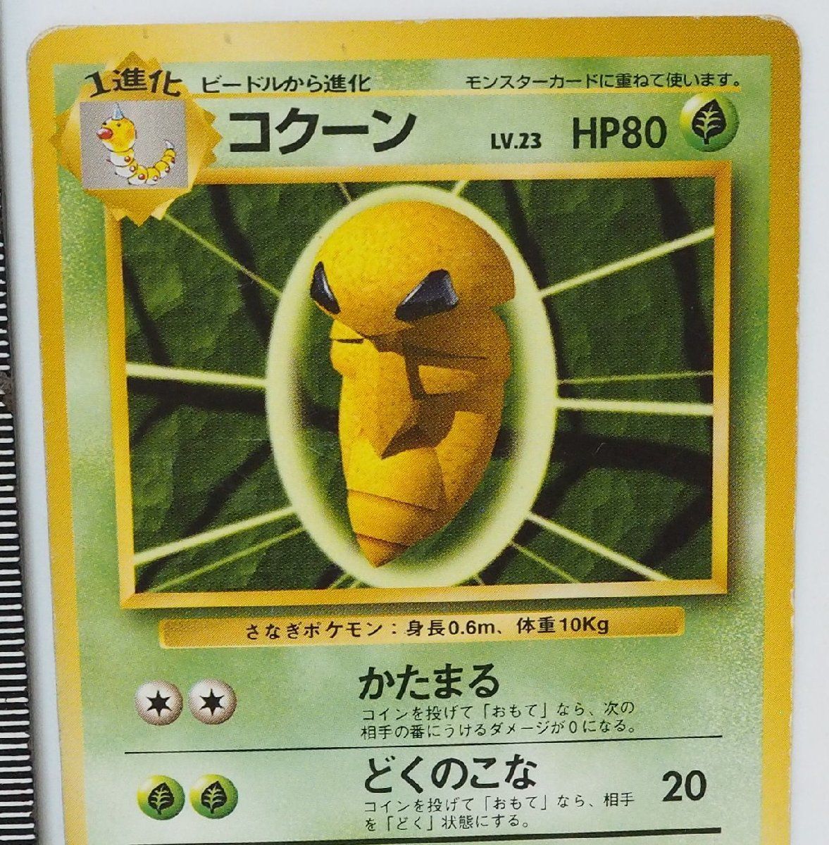 旧裏ポケモン カードゲーム 第1弾【1進化 コクーン LV.23 HP80】草No