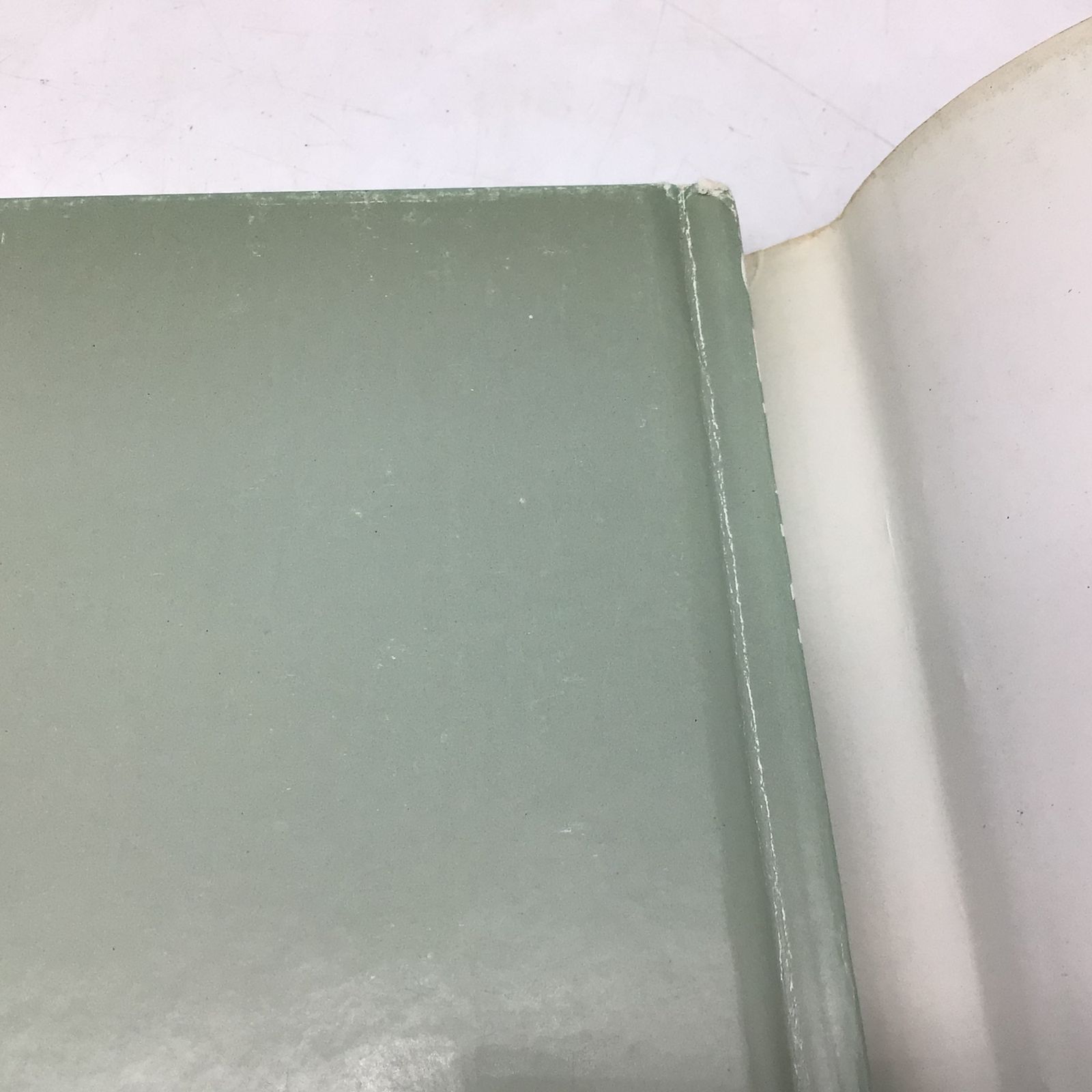 専用出品 6315 山咲千里 写真集 2冊セット ANOTHER SKIN 平成4年第5刷