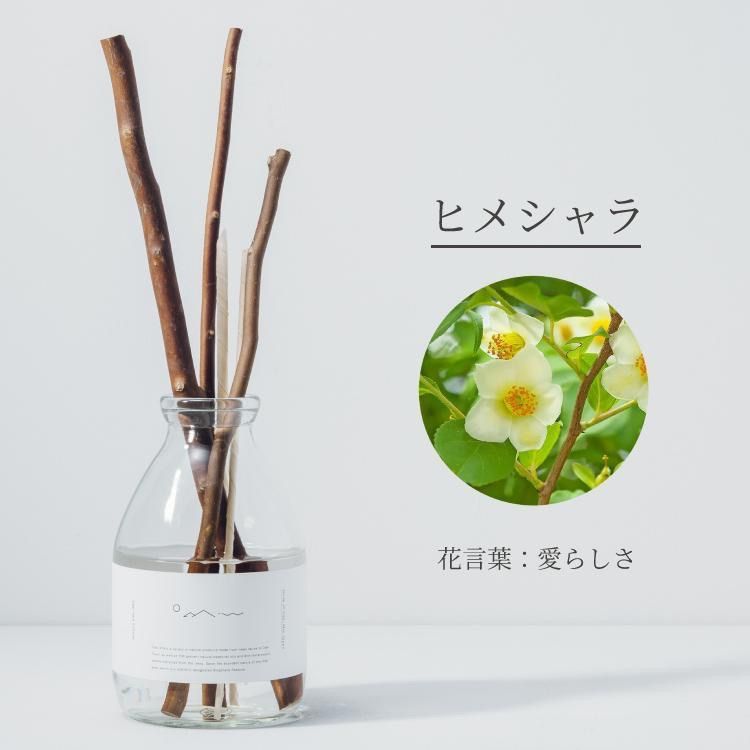 odai オオダイ