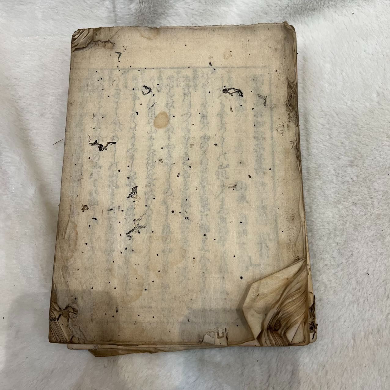 和本　古書　詳細不明 n24010608○「明治29年 略本暦」 印刷兼発行:神宮司庁 〇和本